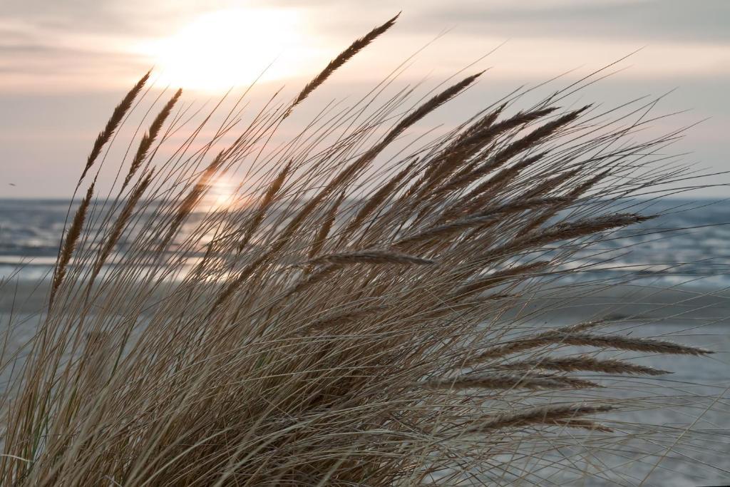 Cuxland-Ferienpark Nordseebad Dorum Esterno foto